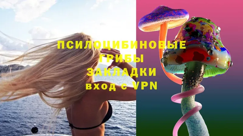 Галлюциногенные грибы Psilocybe  MEGA как зайти  Дмитриев 